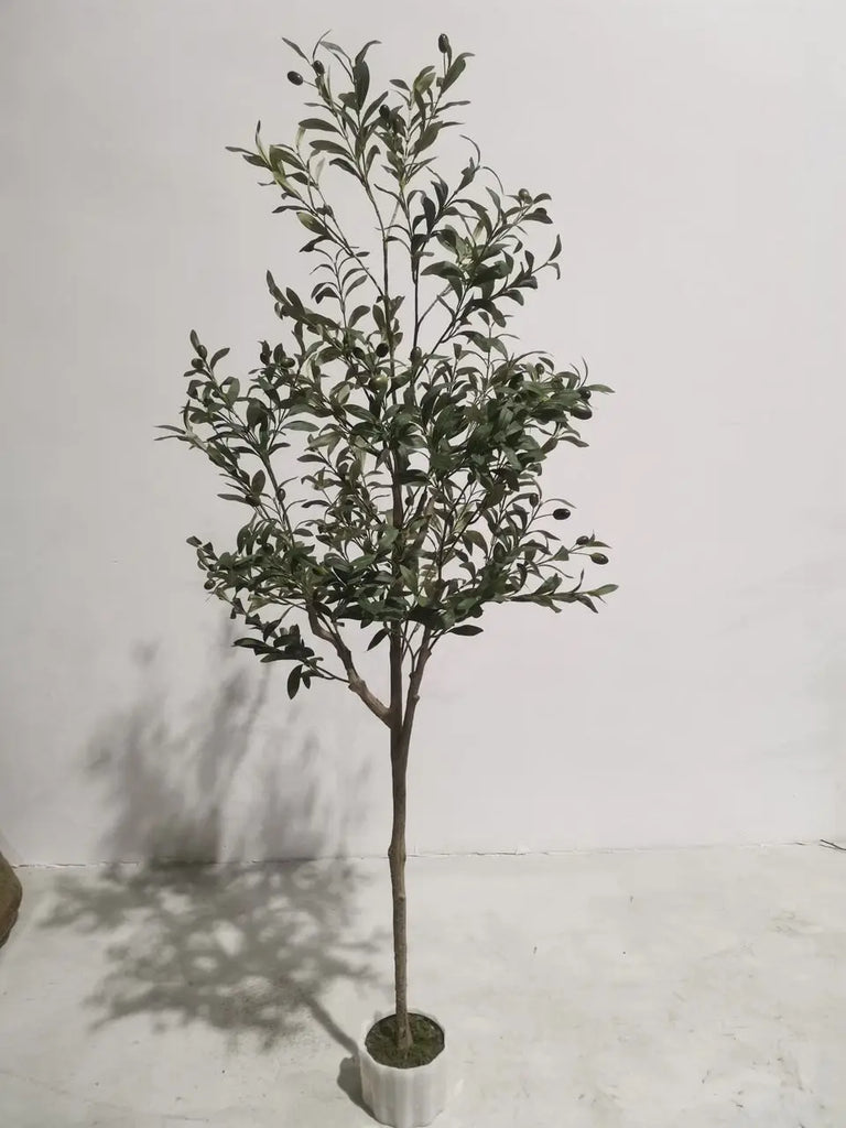 PREORDER - Artificial Olive tree, 6ft Potted tree