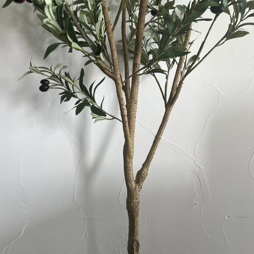 PREORDER - Artificial Olive tree, 6ft Potted tree