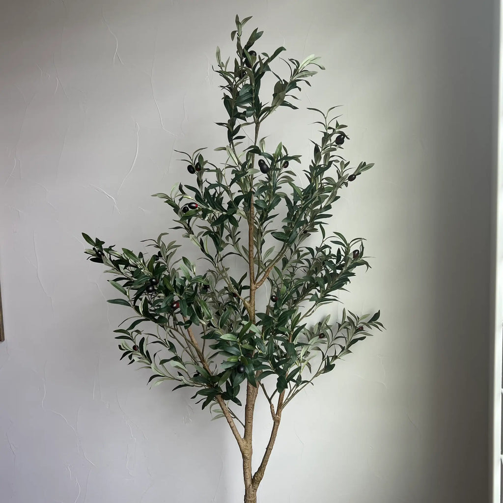 PREORDER - Artificial Olive tree, 6ft Potted tree